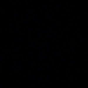 Meet your Posher, Manuel